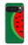 S2383 Watermelon Case For Google Pixel 10 Pro XL