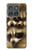 S0977 Baby Raccoons Case For Motorola Edge (2025)