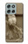 S1386 Paper Sculpture Owl Case For Motorola Moto G56