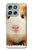 S1619 Cute Guinea Pig Case For Motorola Moto G56