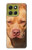 S2903 American Pitbull Dog Case For Motorola Moto G86
