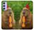 S4068 Capybara Butterfly Case For Samsung Galaxy A54 5G
