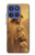S4042 Merciful Jesus Case For Motorola Moto G Stylus 5G (2025,2026), Edge 60 Stylus