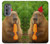 S4068 Capybara Butterfly Case For Motorola Edge (2022)