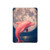 S4045 Dolphin Moon Night Hard Case For iPad 10.2 (2021,2020,2019), iPad 9 8 7