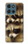 S0977 Baby Raccoons Case For Motorola Moto G (2026), G Play (2026)