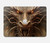 S3981 Dragon Head Old Map Hard Case For MacBook Air 13″ - A1932, A2179, A2337