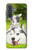 S3795 Kitten Cat Playful Siberian Husky Dog Paint Case For Samsung Galaxy A37
