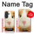 S1619 Cute Guinea Pig Case For Samsung Galaxy A57