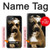 S0520 PitBull Case For iPhone 17e