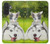 S3795 Kitten Cat Playful Siberian Husky Dog Paint Case For Samsung Galaxy A27