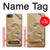 S0380 Dinosaur Fossil Case For iPhone 7, iPhone 8, iPhone SE (2020) (2022)