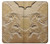 S0380 Dinosaur Fossil Case For iPhone 7, iPhone 8