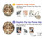 S0177 Michelangelo Chapel ceiling Case For iPhone 7 Plus, iPhone 8 Plus