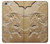 S0380 Dinosaur Fossil Case For iPhone 6 6S