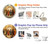 S1086 Raphael's School of Athens Case For iPhone 6 6S