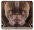 S0519 PitBull Face Case For iPhone X, iPhone XS