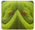S0785 Green Snake Case For iPhone X, iPhone XS