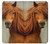 S1595 Beautiful Brown Horse Case For iPhone X, iPhone XS