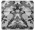 S1721 Snow Camouflage Graphic Printed Case For iPhone X, iPhone XS