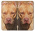 S2903 American Pitbull Dog Case For iPhone X, iPhone XS