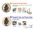 S2562 Fossil Fish Case For Samsung Galaxy S10 S2562 Fossil Fish Case For Samsung Galaxy S10