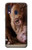 S0519 PitBull Face Case For Samsung Galaxy A40
