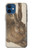 S3781 Albrecht Durer Young Hare Case For iPhone 12 mini