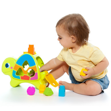 Molto Aktivitätsschildkröte