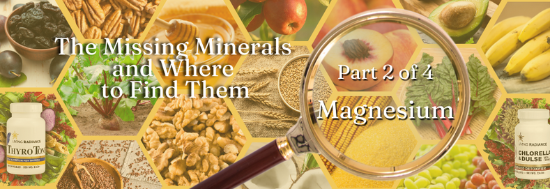 The Missing Minerals and Where to Find Them - MAGNESIUM