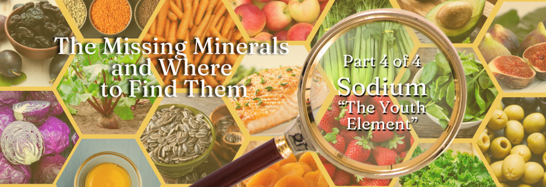 The Missing Minerals and Where to Find Them - Sodium "The Youth Element"