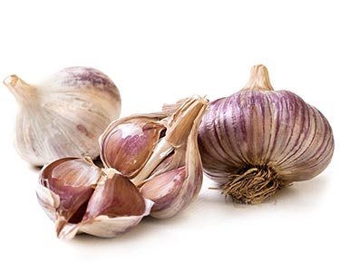 garlic-clove-herbal-supplement-ingredient.jpg