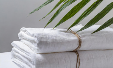 Embrace Eco-Luxury