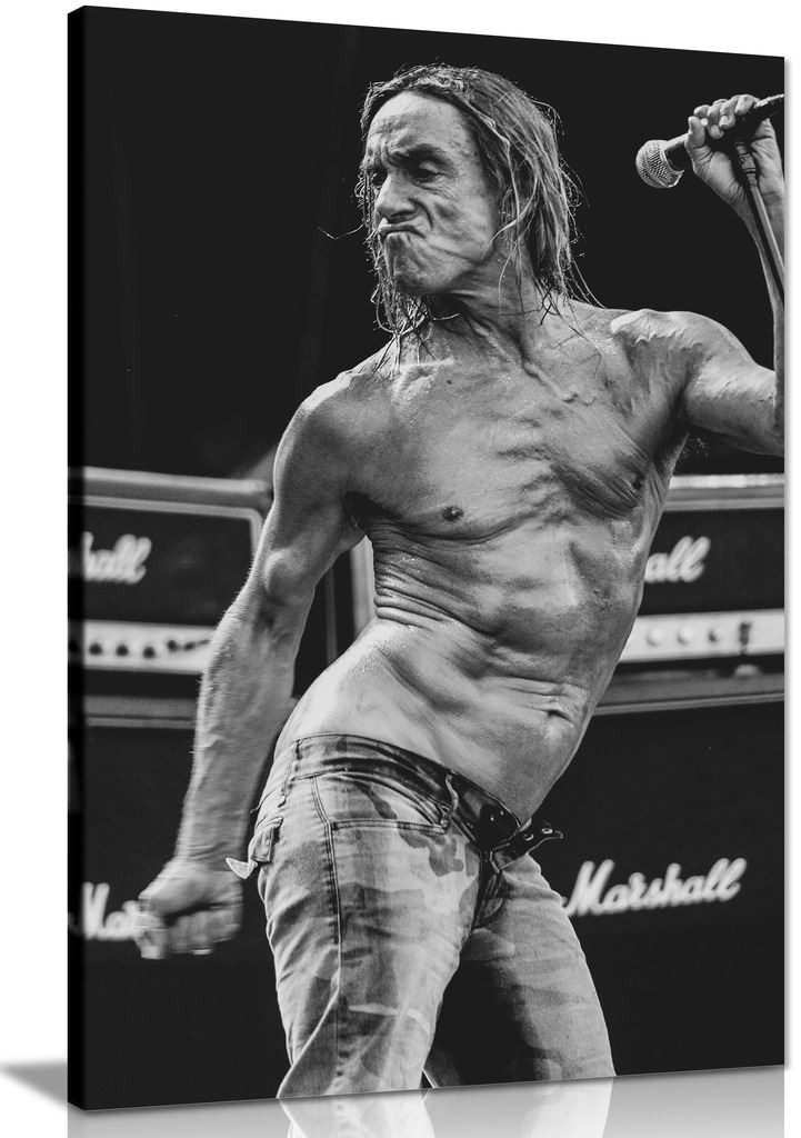 Iggy Pop Canvas Wall Art Picture Print