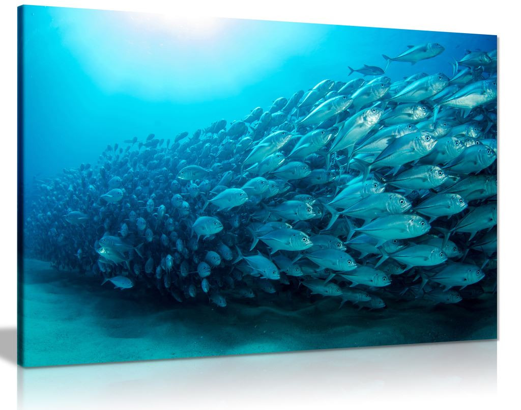 Blue School Of Fish Ocean Canvas Wall Art Picture Print