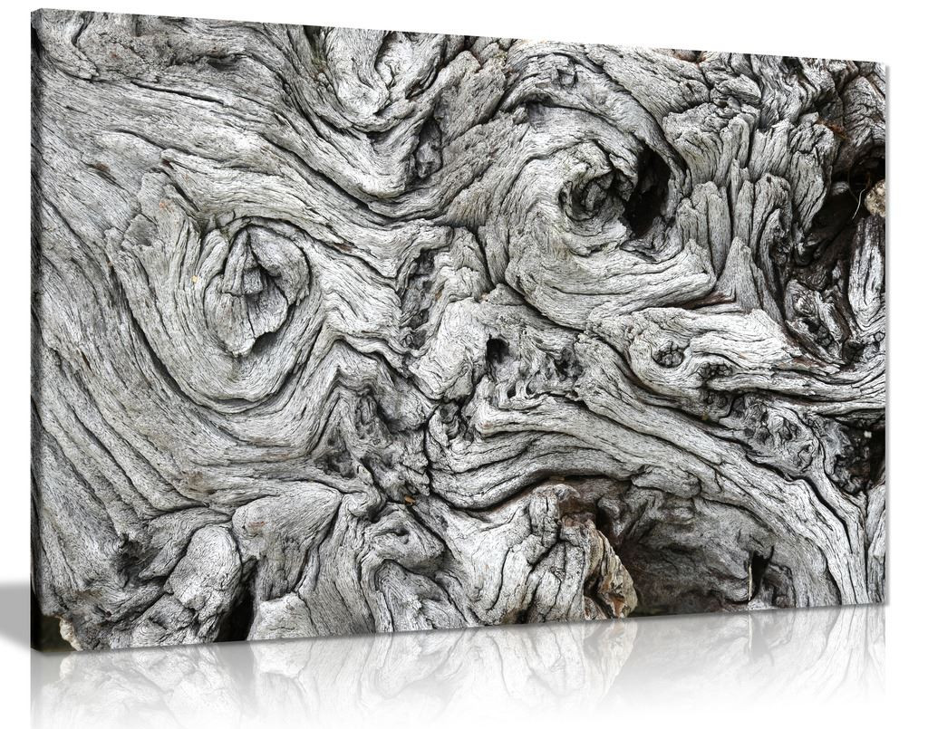 Black & White Driftwood Canvas Wall Art Picture Print
