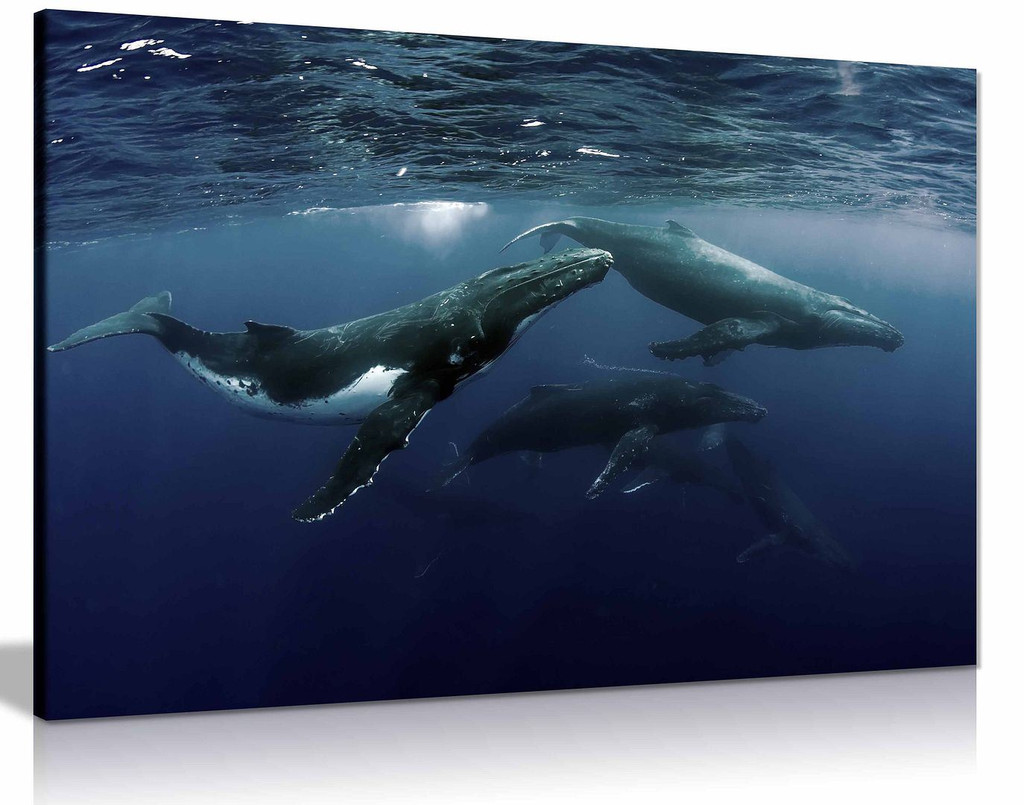 Humpback Whale Ocean SeaLife Sea Nature Canvas Wall Art Picture Print Home Decor