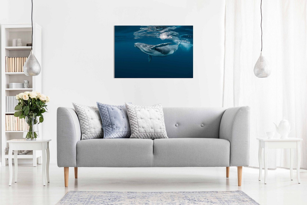 Humpback Whale Ocean SeaLife Sea Nature Canvas Wall Art Picture Print Home Decor