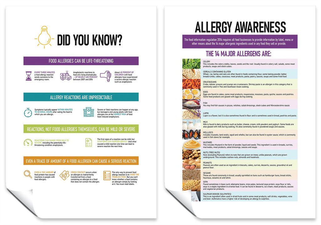 2 A4 Posters Food Allergy Awareness