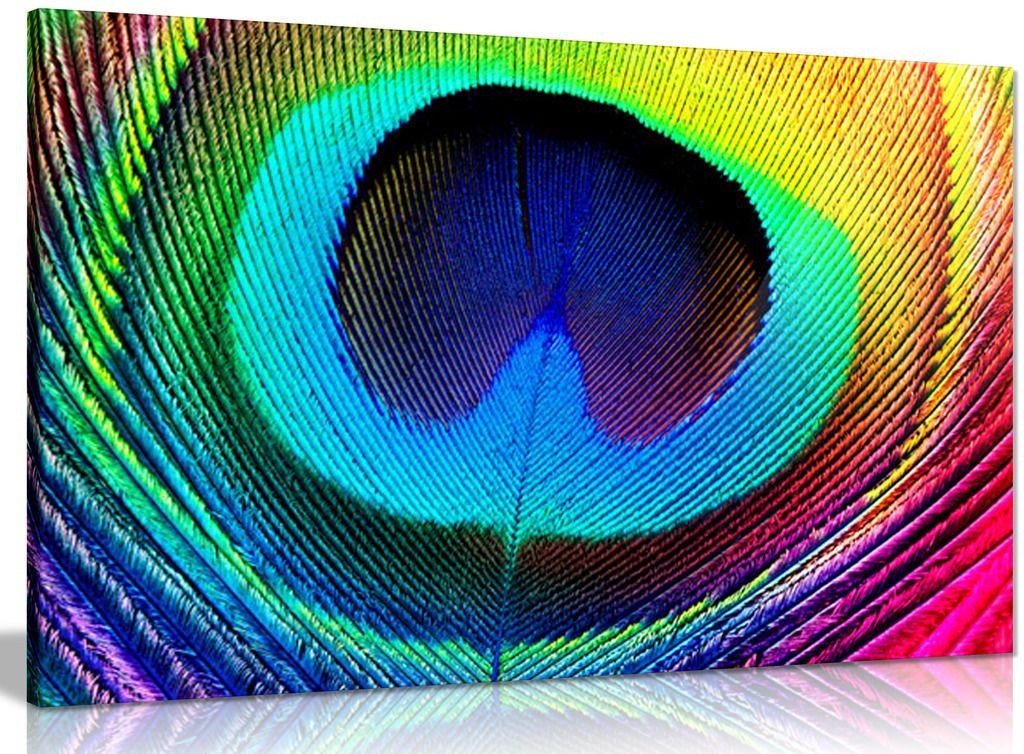 Peacock Feather Animal Colourful Canvas