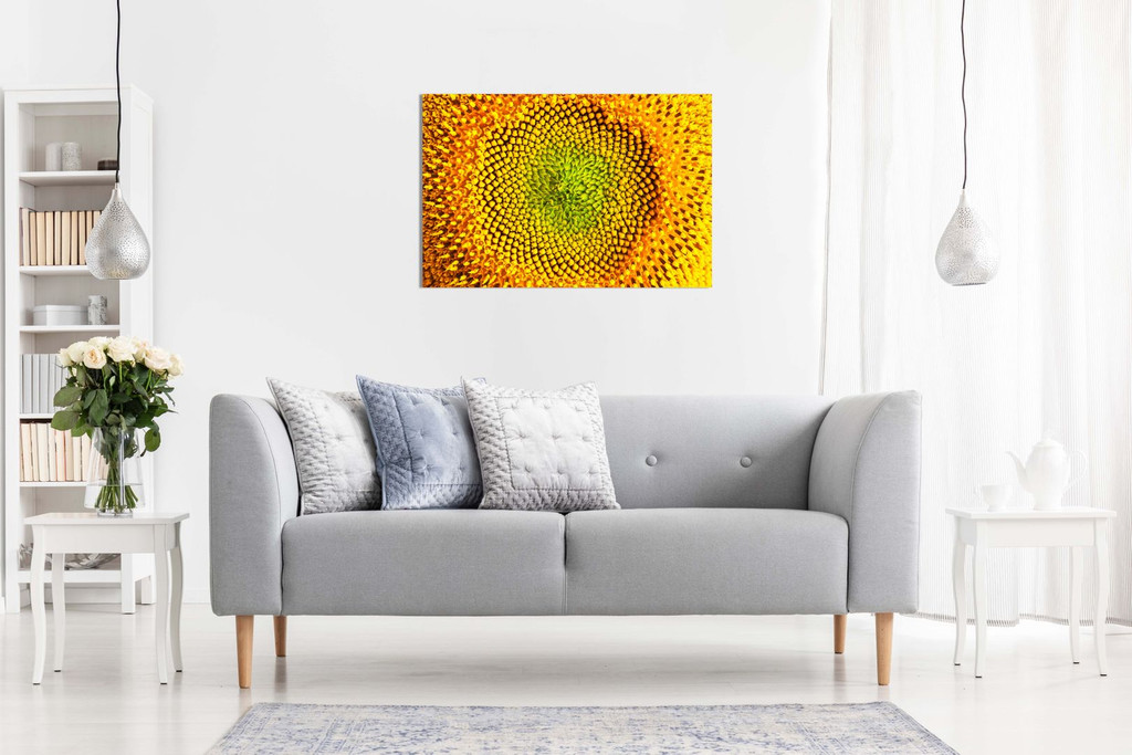 Yellow Sunflower Closeup Canvas