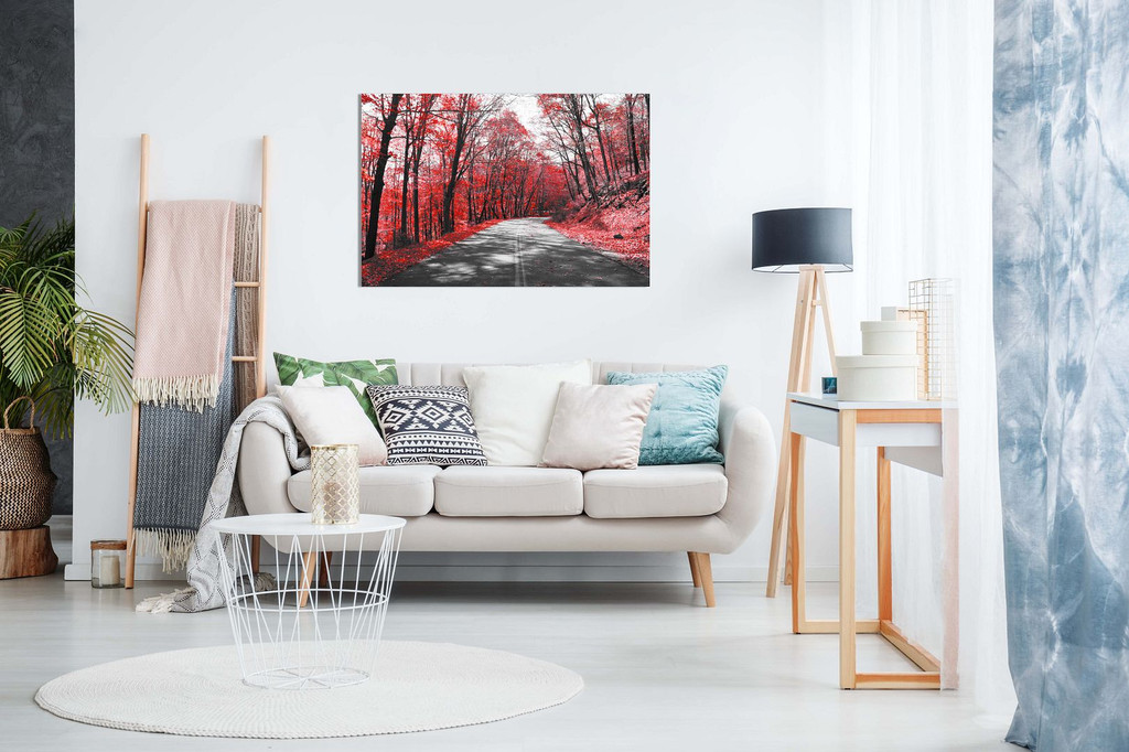 Black & White Road Trees Red Leaves Canvas