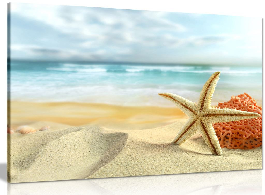 Starfish Beach Wall Decoration Canvas