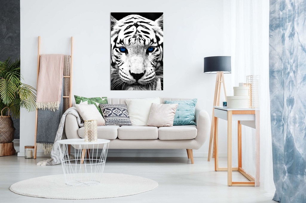 White Tiger Blue Eyes Animal Canvas