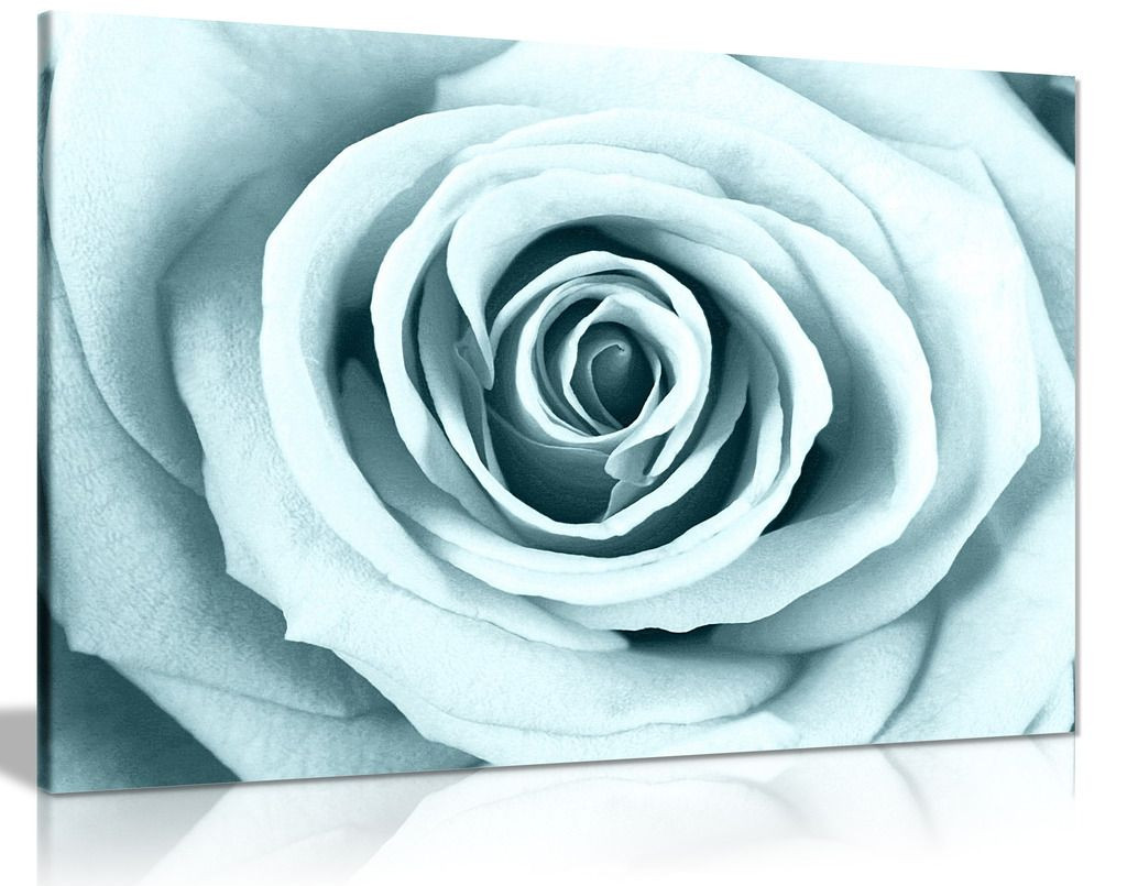 Duck Egg Blue Rose Canvas