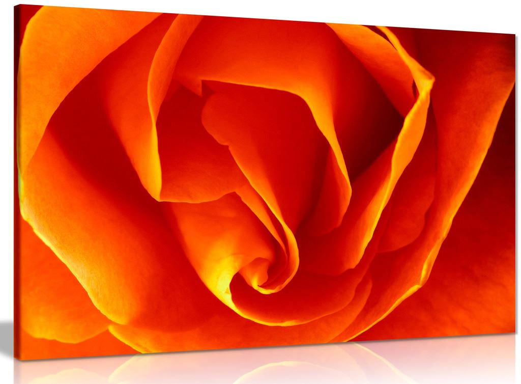 Floral Orange Rose Flower Canvas