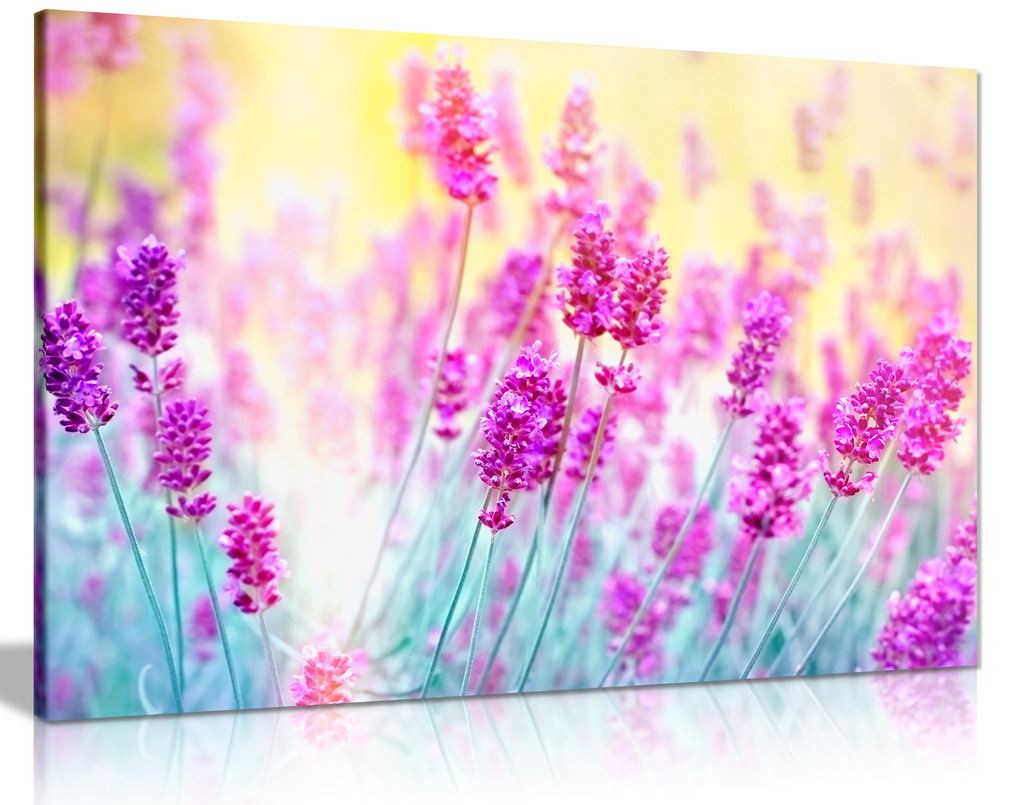 Tranquil Purple Lavender Flower Aromatherapy Herbal Canvas