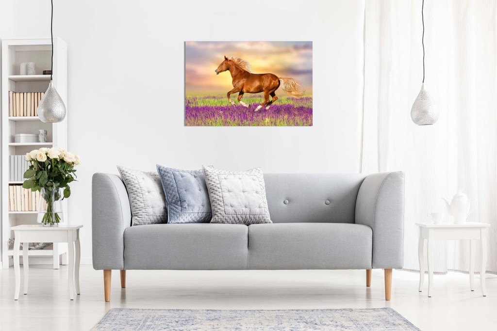 Red Horse Running Through Lavender Field Canvas