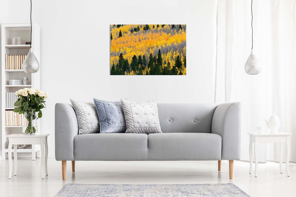 Trees Yelllow Autumn Leaves Nature Canvas