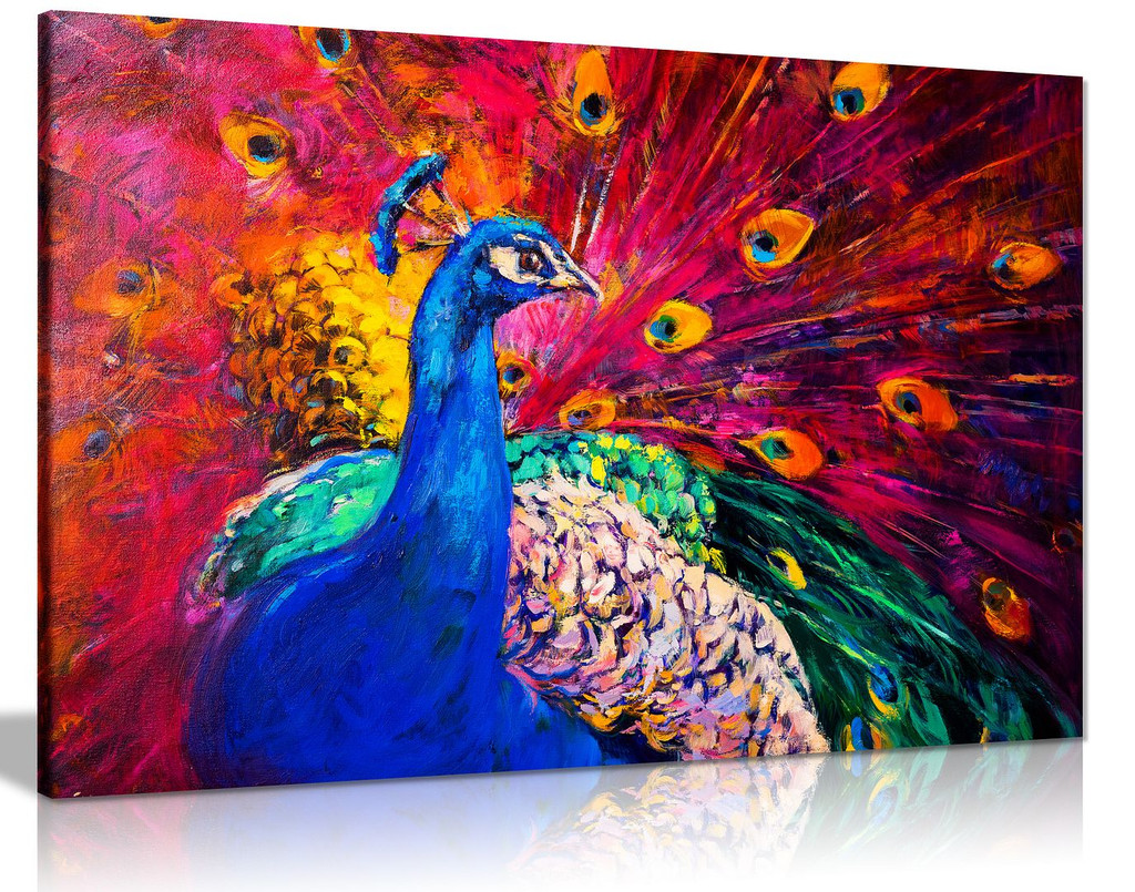 Coloured Peacock Canvas